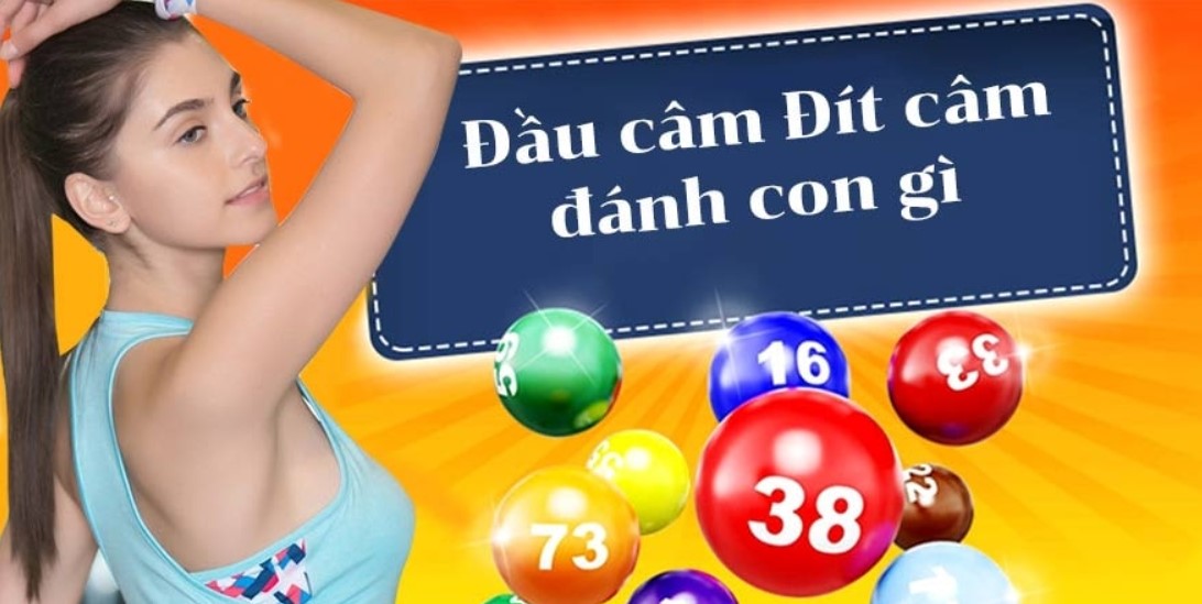 Đầu 0 câm hôm sau đánh con gì?